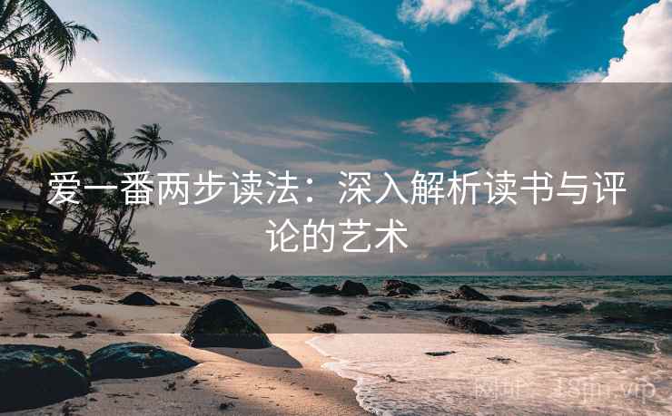 爱一番两步读法：深入解析读书与评论的艺术